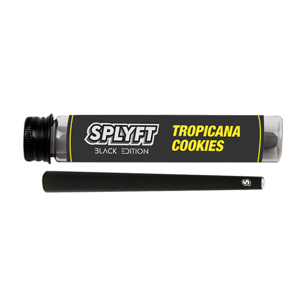 SPLYFT Black Edition Cannabis Terpene Infused Cones – Tropicana Cookies (BUY 1 GET 1 FREE) - ZEROVAPES STORE